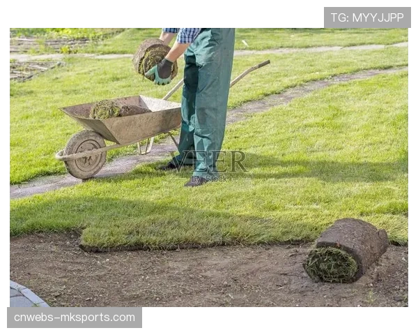 “球场园丁”的坚守：专访一位从业四十年的草皮管理员